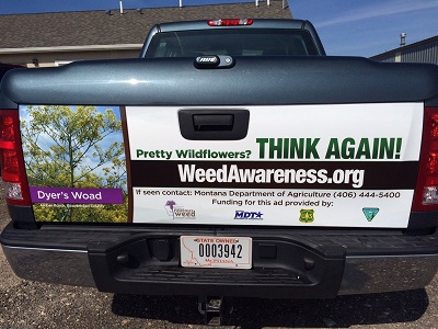 tailgate wrap on truck about dyer's woad