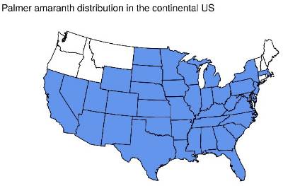 Map of where Palmer amaranth is 