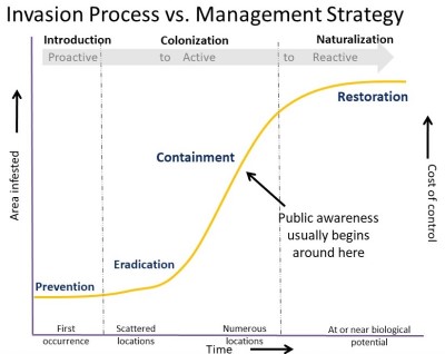 Graph showing progress of invasion versus management strategy
