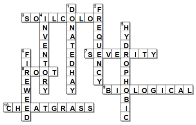 Completed crossword, answers also listed in text